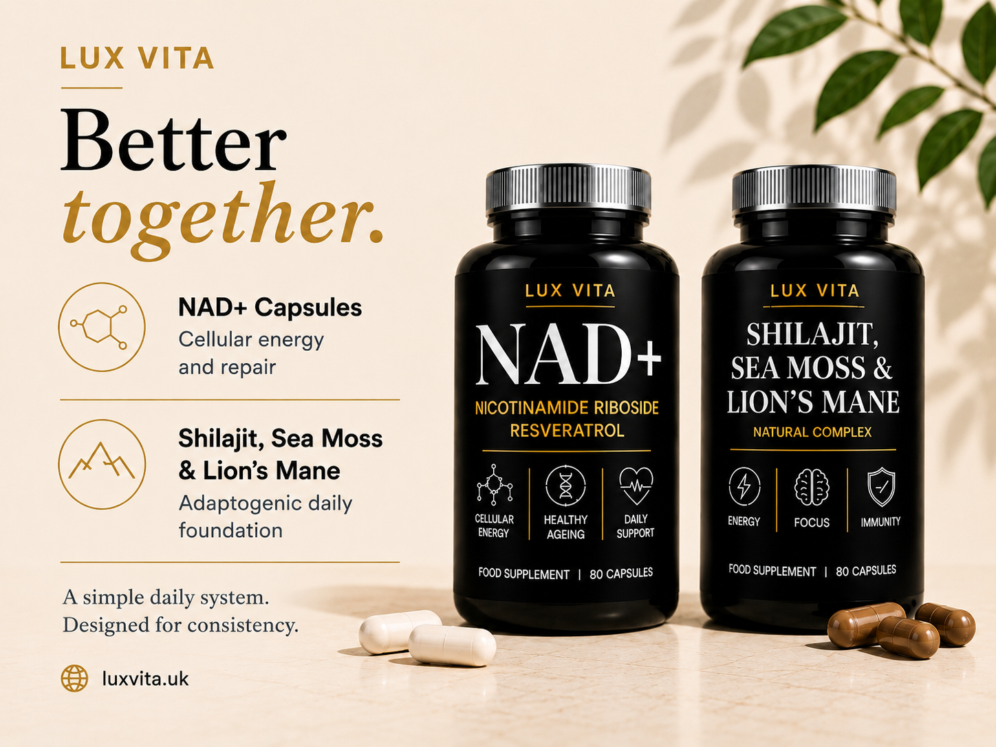 Lux Vita NAD+ Capsules and Shilajit Sea Moss & Lion's Mane bottles together — a simple daily wellness system built for consistency
