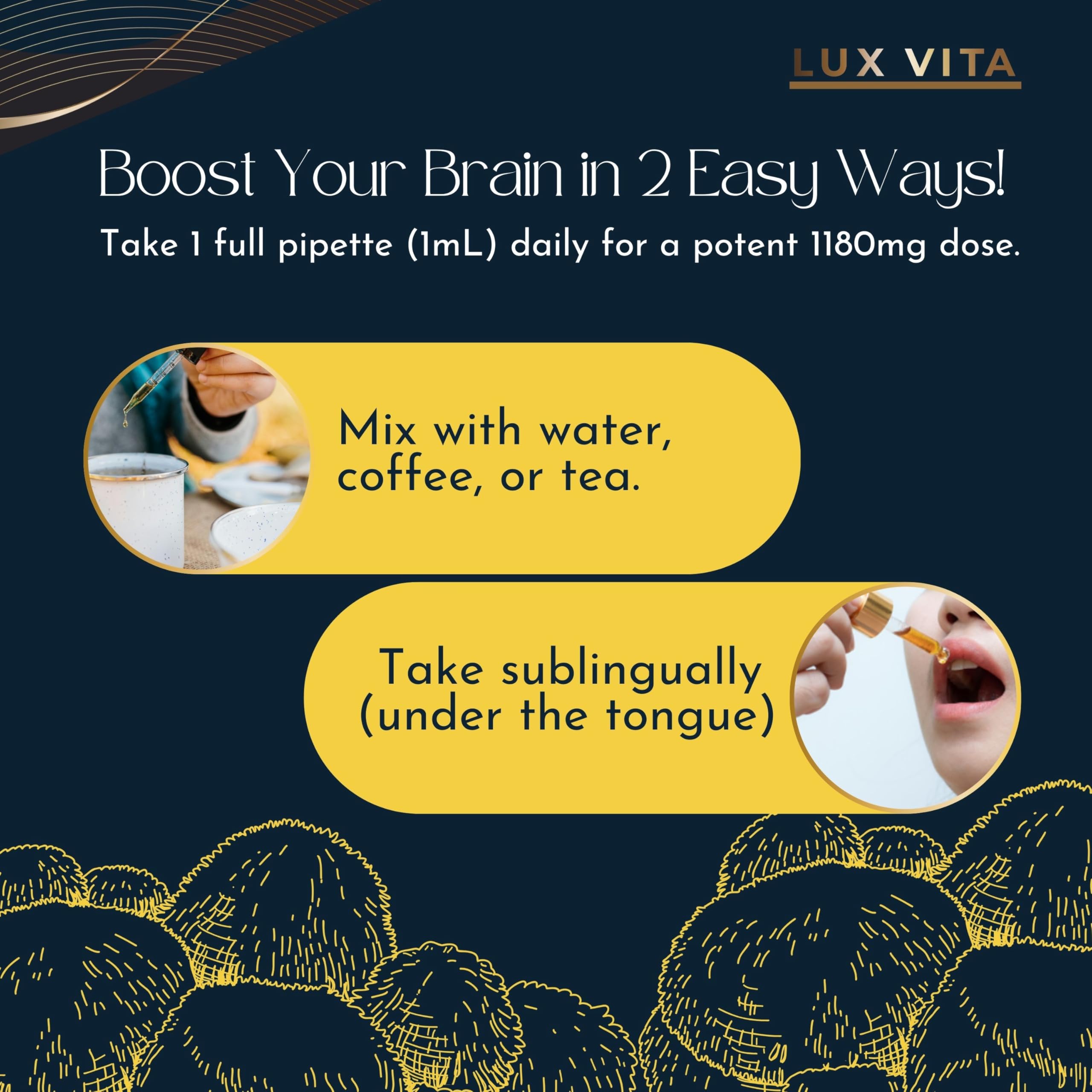Lion's Mane Drops — Brain Focus & Mental Clarity