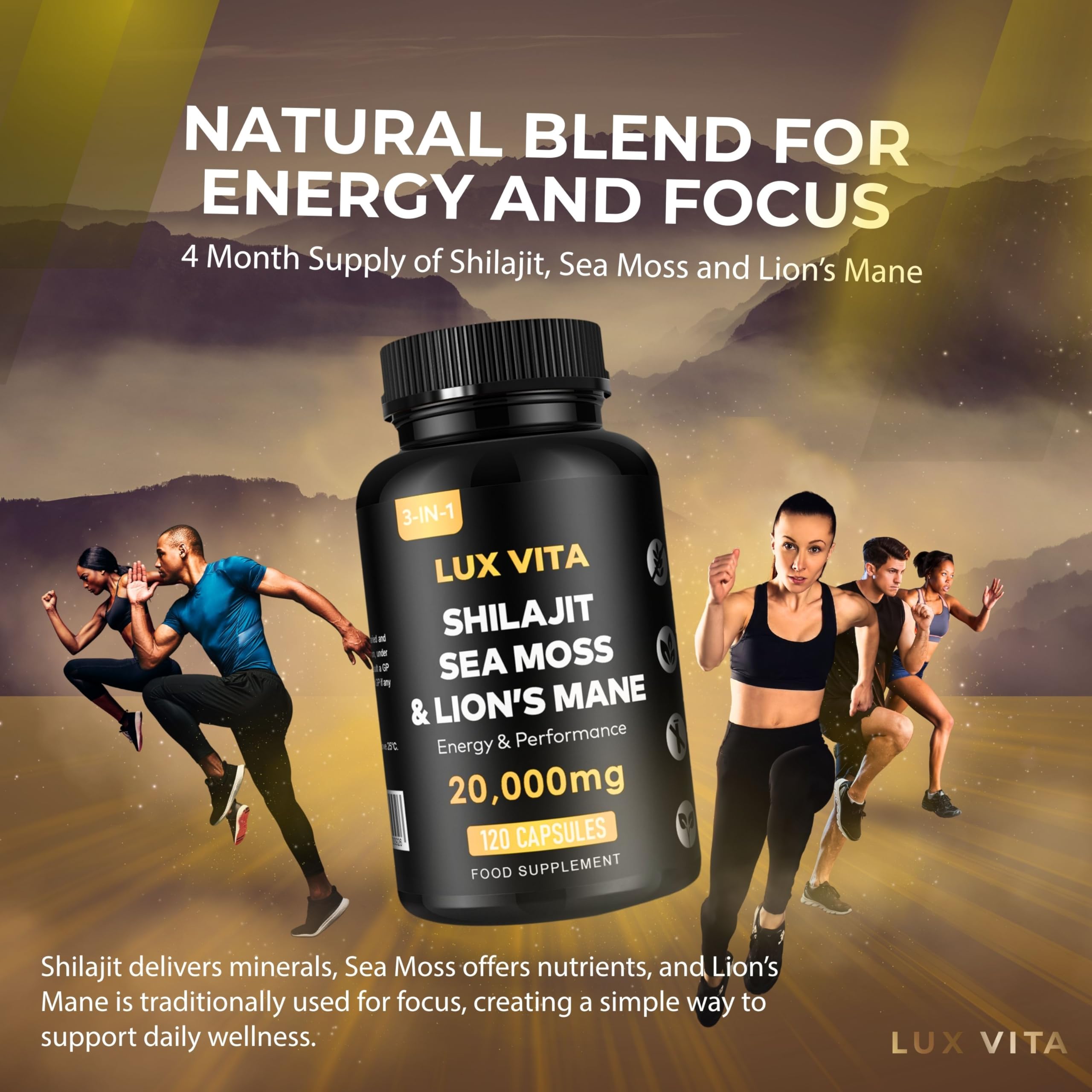 Shilajit, Sea Moss & Lion's Mane — Daily Vitality Trio