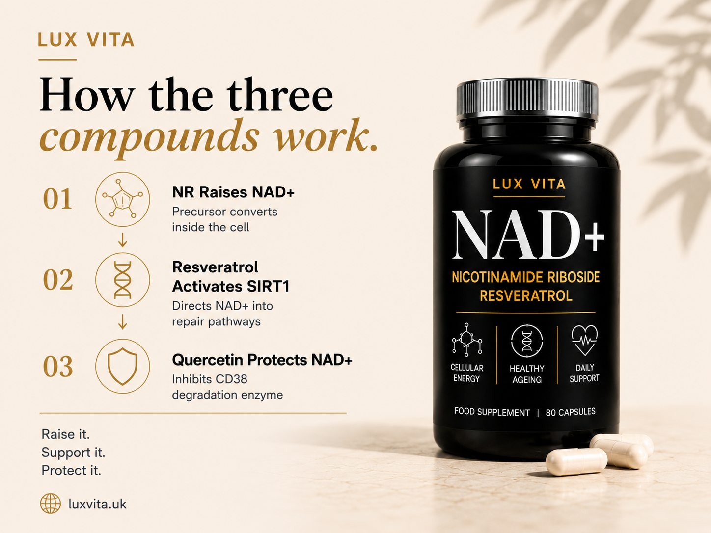 Lux Vita NAD+ usage — 2 capsules daily with food in the morning, consistent for 8 to 12 weeks for best results