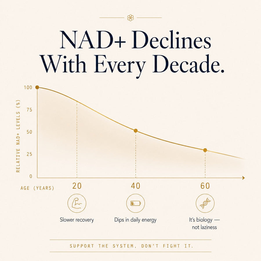NAD+ slide 2