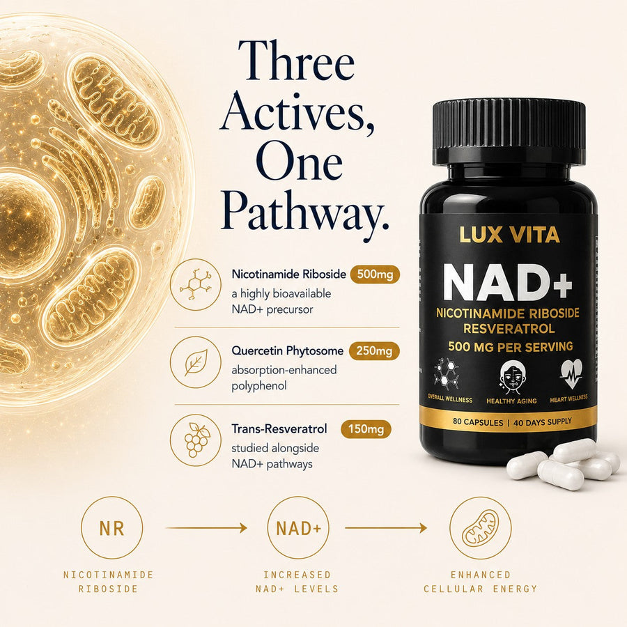 NAD+ slide 3