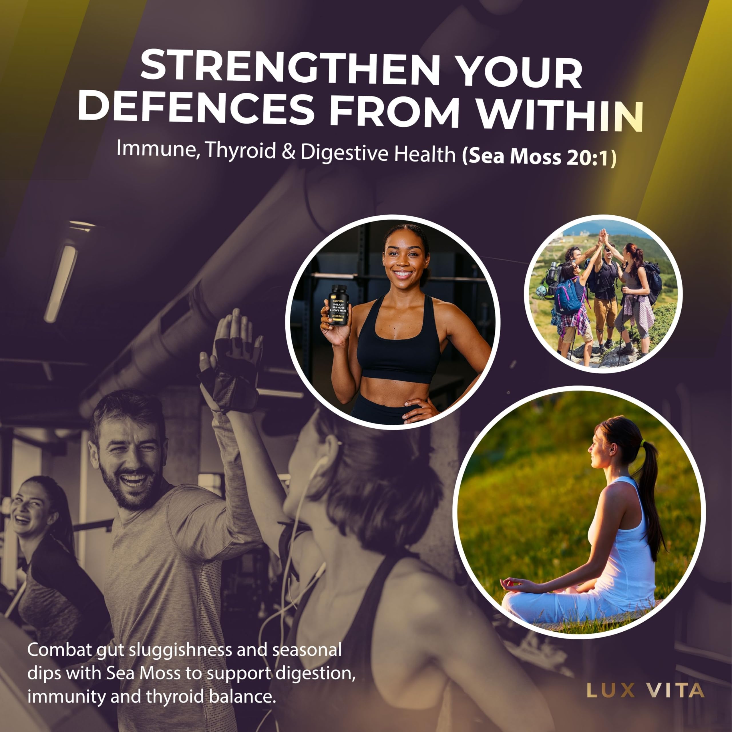 Shilajit, Sea Moss & Lion's Mane — Daily Vitality Trio