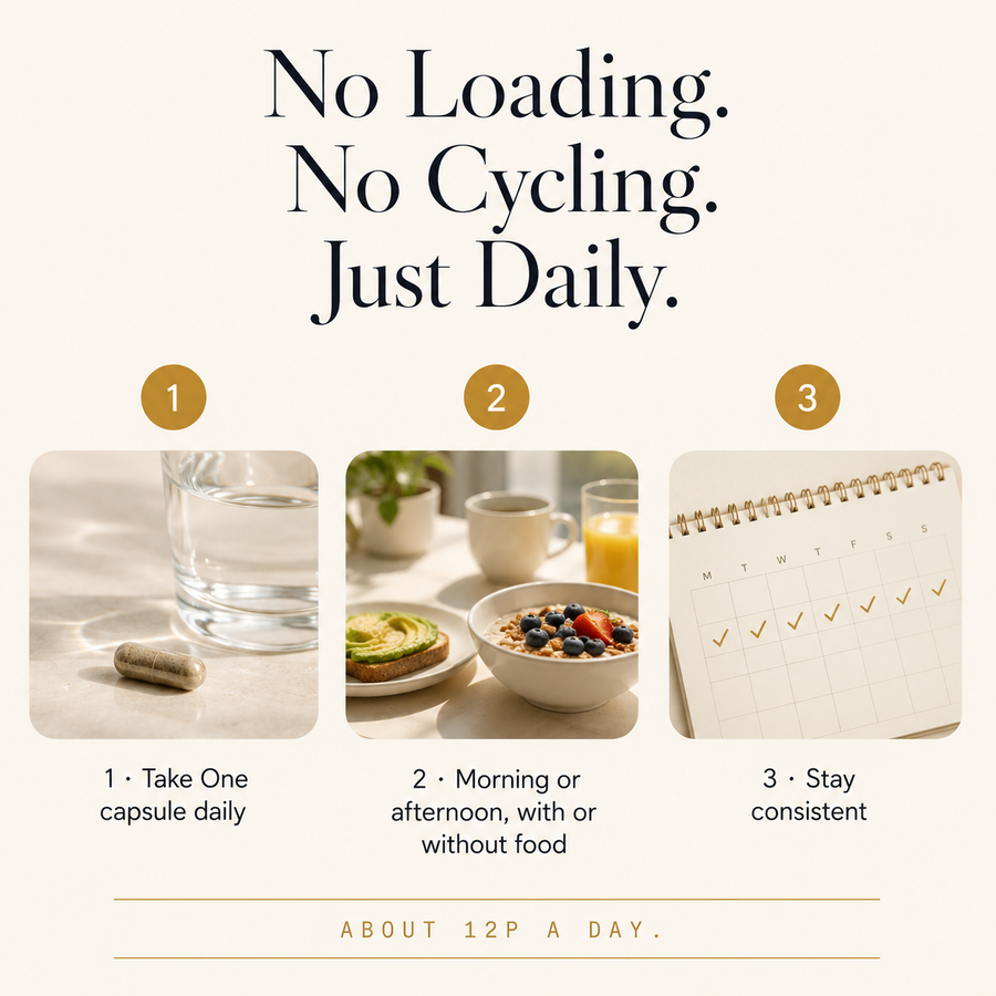 Himalayan Shilajit, Irish Sea Moss & Lion’s Mane Capsules — Daily Vitality Trio