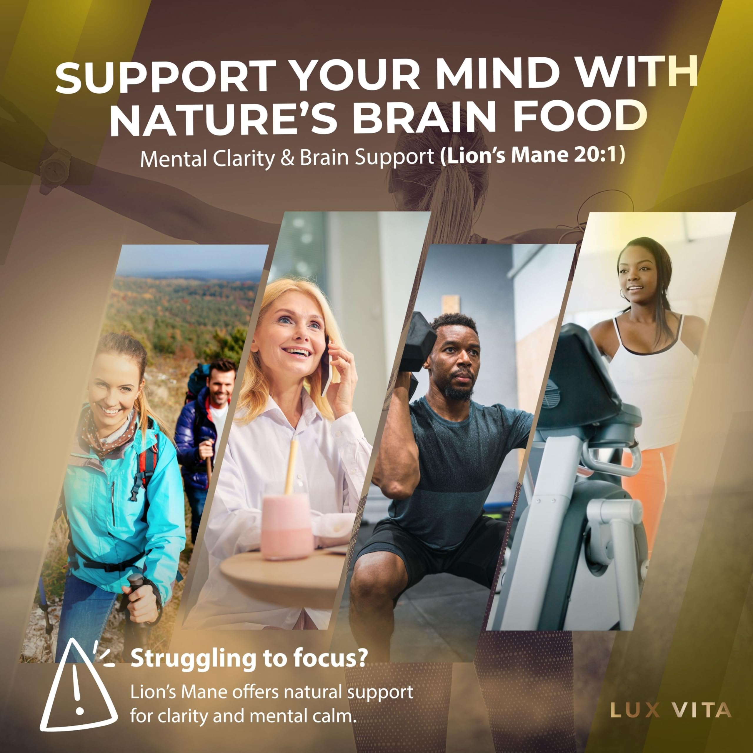 Shilajit, Sea Moss & Lion's Mane — Daily Vitality Trio